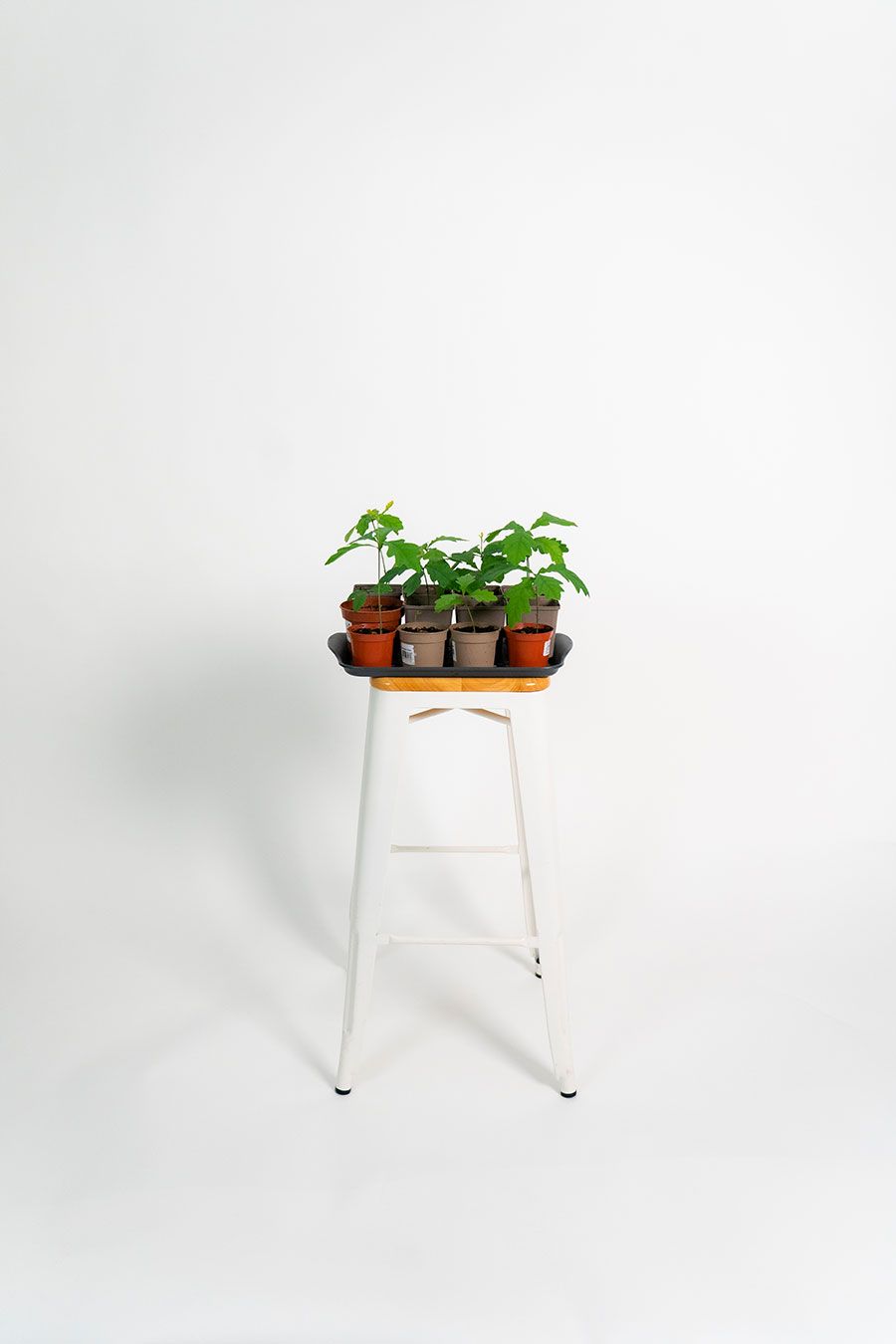 Photo d’un tabouret avec des végétaux I Candidature spontanée 