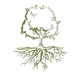 Landscape architects Tree heritage expertise in Geneva and Nyon