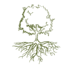 Landscape architects Tree heritage expertise in Geneva and Nyon