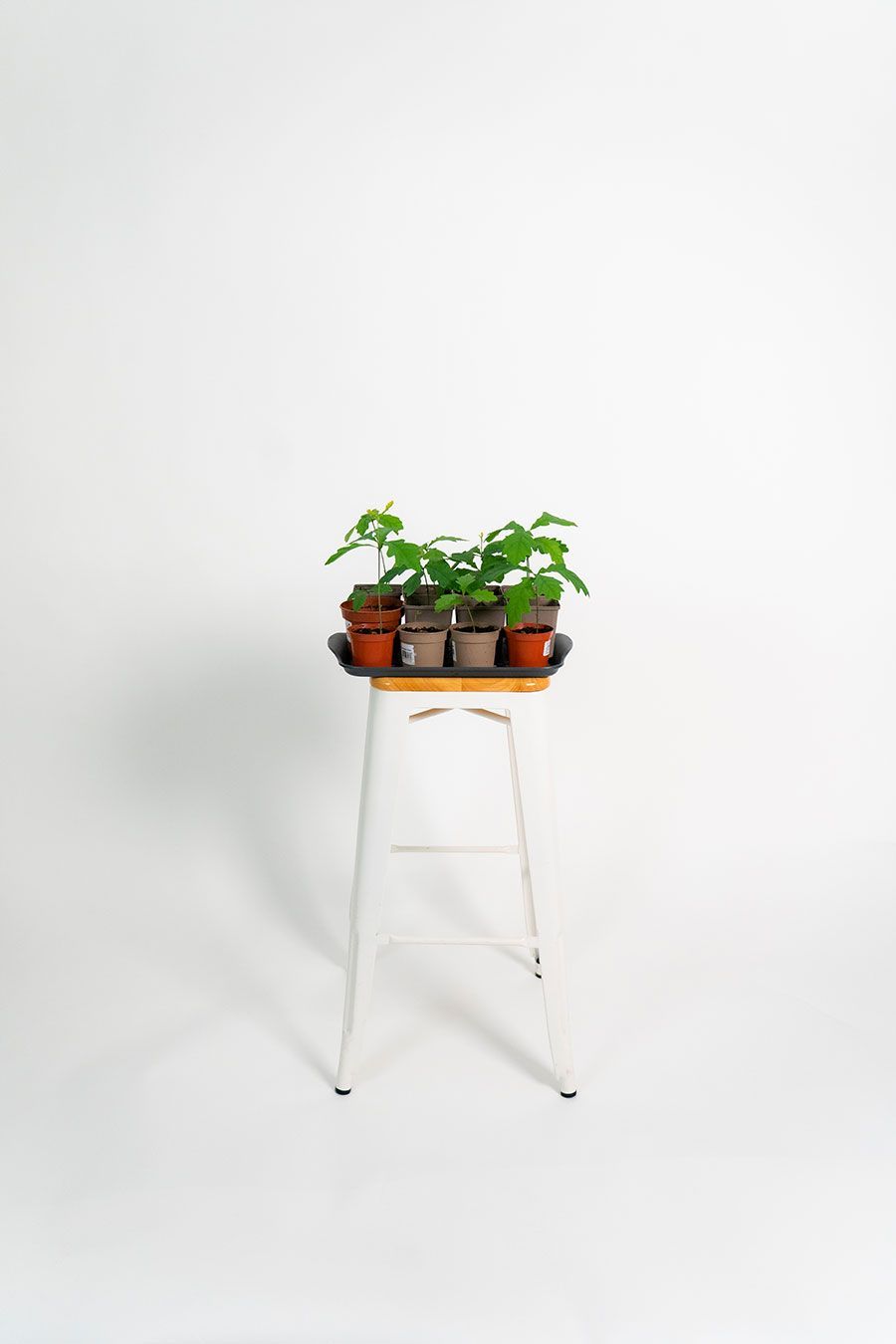 Photo of a stool with plants I Spontaneous application 